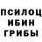 Галлюциногенные грибы GOLDEN TEACHER Jidda Lid
