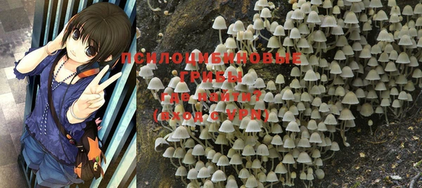 меф Медвежьегорск