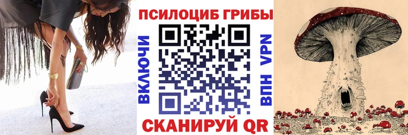 Купить  Азов  Псилоцибиновые грибы Cubensis 